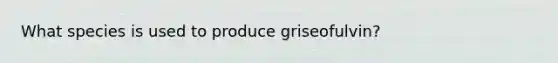 What species is used to produce griseofulvin?