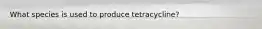 What species is used to produce tetracycline?