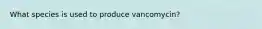 What species is used to produce vancomycin?