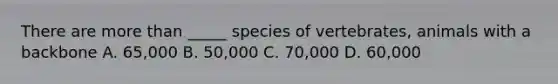 There are more than _____ species of vertebrates, animals with a backbone A. 65,000 B. 50,000 C. 70,000 D. 60,000