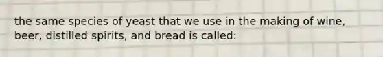 the same species of yeast that we use in the making of wine, beer, distilled spirits, and bread is called: