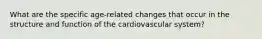 What are the specific age-related changes that occur in the structure and function of the cardiovascular system?