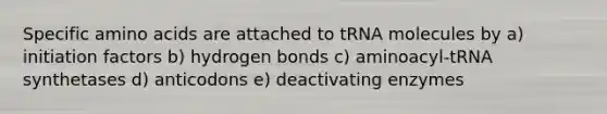 Specific amino acids are attached to tRNA molecules by a) initiation factors b) hydrogen bonds c) aminoacyl-tRNA synthetases d) anticodons e) deactivating enzymes