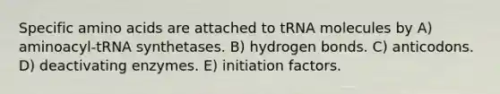 Specific amino acids are attached to tRNA molecules by A) aminoacyl-tRNA synthetases. B) hydrogen bonds. C) anticodons. D) deactivating enzymes. E) initiation factors.