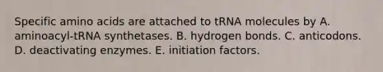 Specific amino acids are attached to tRNA molecules by A. aminoacyl-tRNA synthetases. B. hydrogen bonds. C. anticodons. D. deactivating enzymes. E. initiation factors.