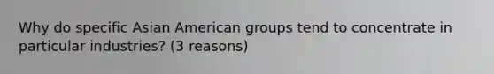 Why do specific Asian American groups tend to concentrate in particular industries? (3 reasons)