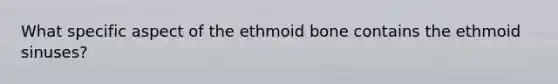 What specific aspect of the ethmoid bone contains the ethmoid sinuses?