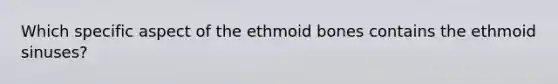 Which specific aspect of the ethmoid bones contains the ethmoid sinuses?