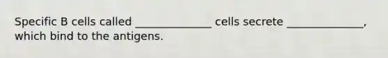 Specific B cells called ______________ cells secrete ______________, which bind to the antigens.