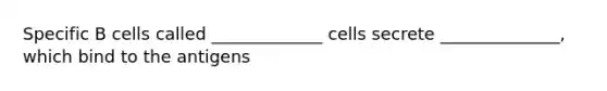 Specific B cells called _____________ cells secrete ______________, which bind to the antigens