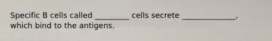 Specific B cells called _________ cells secrete ______________, which bind to the antigens.