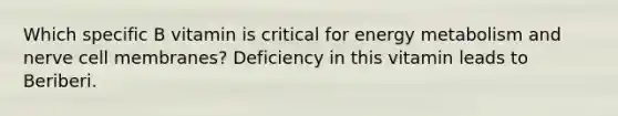 Which specific B vitamin is critical for energy metabolism and nerve cell membranes? Deficiency in this vitamin leads to Beriberi.