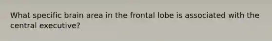 What specific brain area in the frontal lobe is associated with the central executive?