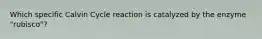 Which specific Calvin Cycle reaction is catalyzed by the enzyme "rubisco"?