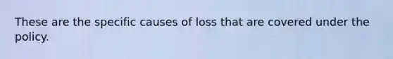 These are the specific causes of loss that are covered under the policy.