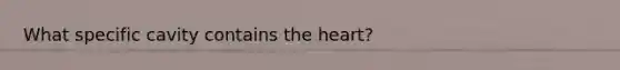 What specific cavity contains the heart?