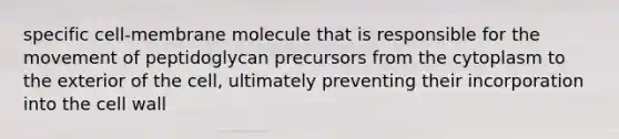 specific cell-membrane molecule that is responsible for the movement of peptidoglycan precursors from the cytoplasm to the exterior of the cell, ultimately preventing their incorporation into the cell wall