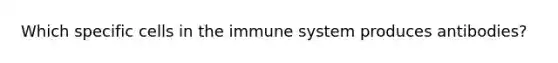 Which specific cells in the immune system produces antibodies?