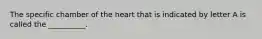 The specific chamber of the heart that is indicated by letter A is called the __________.