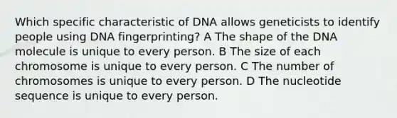 Which specific characteristic of DNA allows geneticists to identify people using DNA fingerprinting? A The shape of the DNA molecule is unique to every person. B The size of each chromosome is unique to every person. C The number of chromosomes is unique to every person. D The nucleotide sequence is unique to every person.