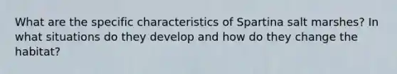 What are the specific characteristics of Spartina salt marshes? In what situations do they develop and how do they change the habitat?