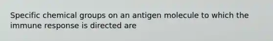 Specific chemical groups on an antigen molecule to which the immune response is directed are