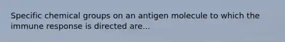 Specific chemical groups on an antigen molecule to which the immune response is directed are...