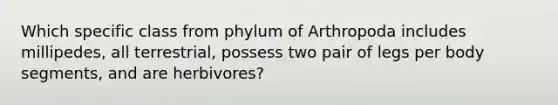 Which specific class from phylum of Arthropoda includes millipedes, all terrestrial, possess two pair of legs per body segments, and are herbivores?