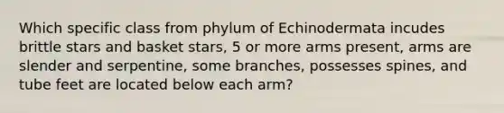 Which specific class from phylum of Echinodermata incudes brittle stars and basket stars, 5 or more arms present, arms are slender and serpentine, some branches, possesses spines, and tube feet are located below each arm?