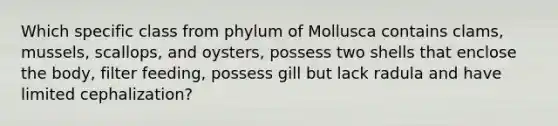 Which specific class from phylum of Mollusca contains clams, mussels, scallops, and oysters, possess two shells that enclose the body, filter feeding, possess gill but lack radula and have limited cephalization?