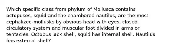 Which specific class from phylum of Mollusca contains octopuses, squid and the chambered nautilus, are the most cephalized mollusks by obvious head with eyes, closed circulatory system and muscular foot divided in arms or tentacles. Octopus lack shell, squid has internal shell. Nautilus has external shell?