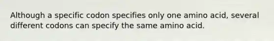 Although a specific codon specifies only one amino acid, several different codons can specify the same amino acid.