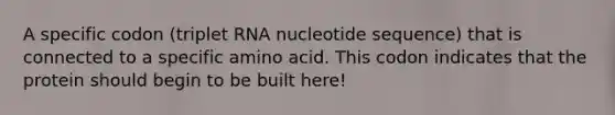 A specific codon (triplet RNA nucleotide sequence) that is connected to a specific amino acid. This codon indicates that the protein should begin to be built here!