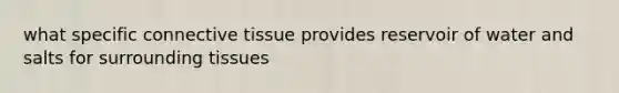 what specific connective tissue provides reservoir of water and salts for surrounding tissues