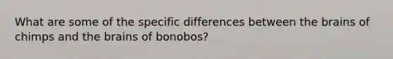 What are some of the specific differences between the brains of chimps and the brains of bonobos?