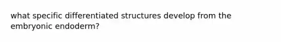 what specific differentiated structures develop from the embryonic endoderm?