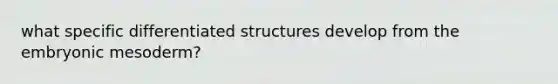 what specific differentiated structures develop from the embryonic mesoderm?