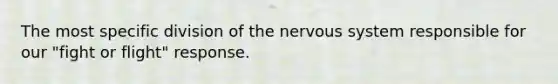 The most specific division of the nervous system responsible for our "fight or flight" response.