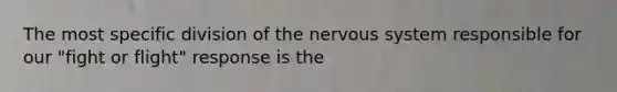 The most specific division of the nervous system responsible for our "fight or flight" response is the