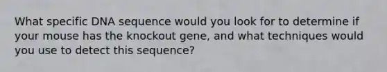 What specific DNA sequence would you look for to determine if your mouse has the knockout gene, and what techniques would you use to detect this sequence?