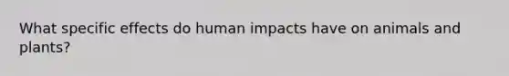 What specific effects do human impacts have on animals and plants?