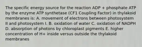 The specific energy source for the reaction ADP + phosphate ATP by the enzyme ATP synthetase (CF1 Coupling Factor) in thylakoid membranes is: A. movement of electrons between photosystem II and photosystem I. B. oxidation of water C. oxidation of NADPH D. absorption of photons by chloroplast pigments E. higher concentration of H+ inside versus outside the thylakoid membranes