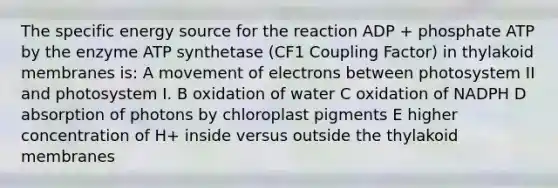 The specific energy source for the reaction ADP + phosphate ATP by the enzyme ATP synthetase (CF1 Coupling Factor) in thylakoid membranes is: A movement of electrons between photosystem II and photosystem I. B oxidation of water C oxidation of NADPH D absorption of photons by chloroplast pigments E higher concentration of H+ inside versus outside the thylakoid membranes