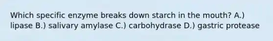 Which specific enzyme breaks down starch in the mouth? A.) lipase B.) salivary amylase C.) carbohydrase D.) gastric protease