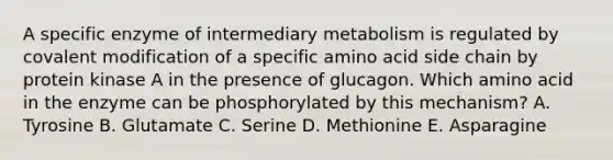 A specific enzyme of intermediary metabolism is regulated by <a href='https://www.questionai.com/knowledge/ktCxzJz1jA-covalent-modification' class='anchor-knowledge'>covalent modification</a> of a specific amino acid side chain by protein kinase A in the presence of glucagon. Which amino acid in the enzyme can be phosphorylated by this mechanism? A. Tyrosine B. Glutamate C. Serine D. Methionine E. Asparagine