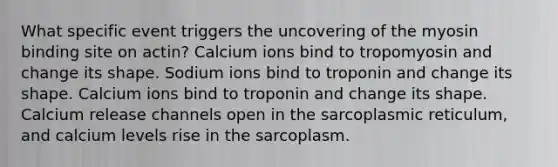 What specific event triggers the uncovering of the myosin binding site on actin? Calcium ions bind to tropomyosin and change its shape. Sodium ions bind to troponin and change its shape. Calcium ions bind to troponin and change its shape. Calcium release channels open in the sarcoplasmic reticulum, and calcium levels rise in the sarcoplasm.