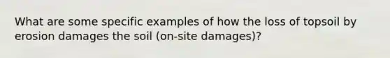 What are some specific examples of how the loss of topsoil by erosion damages the soil (on-site damages)?