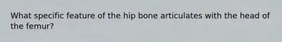 What specific feature of the hip bone articulates with the head of the femur?