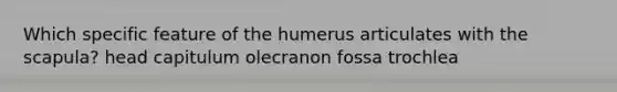 Which specific feature of the humerus articulates with the scapula? head capitulum olecranon fossa trochlea