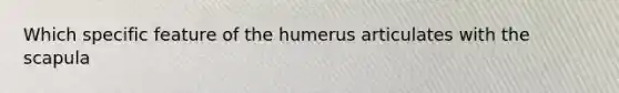 Which specific feature of the humerus articulates with the scapula